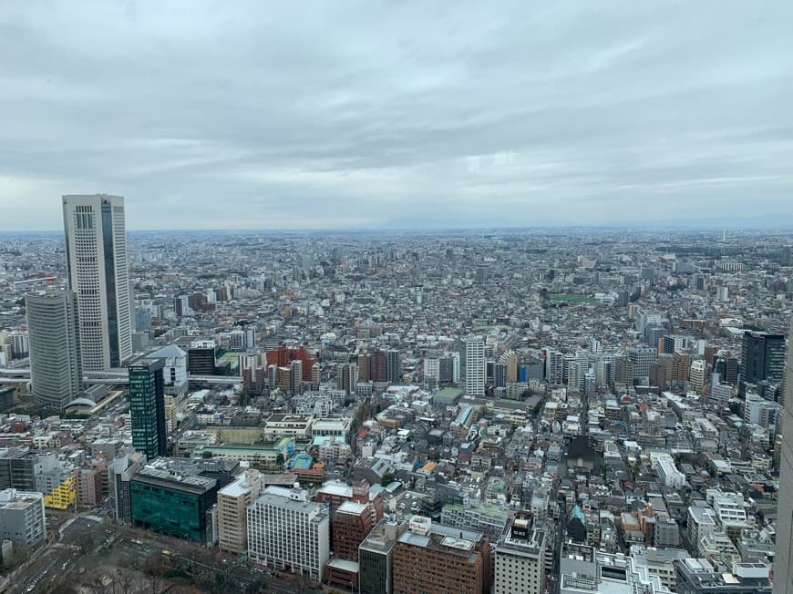 Place Tokyo Metropolitan Government Building observation room