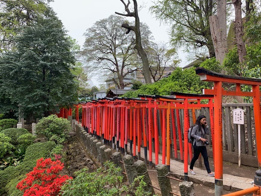 Lugar Nezu Shrine