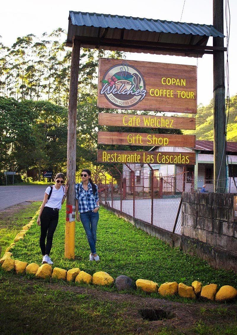 Fashion Copán Coffee Tour | Cafe Welchez – Buy Quality Coffee Cafe ...