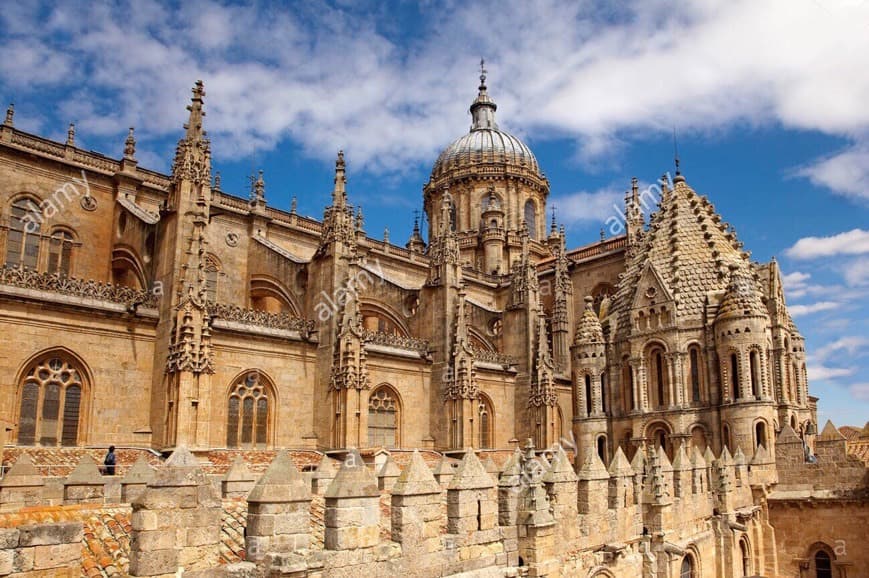 Place Catedral de Salamanca