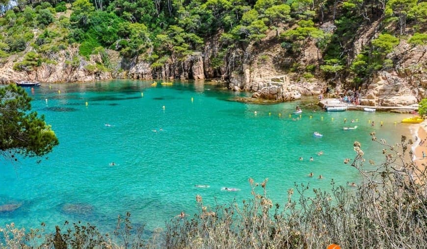 Lugar Playas de Begur