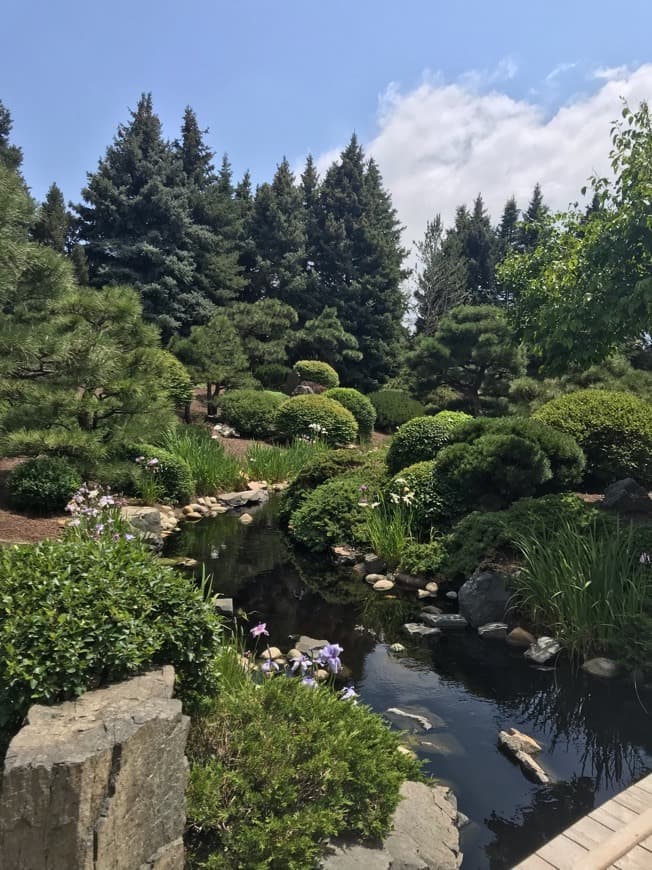 Lugar Jardín Botánico de Denver