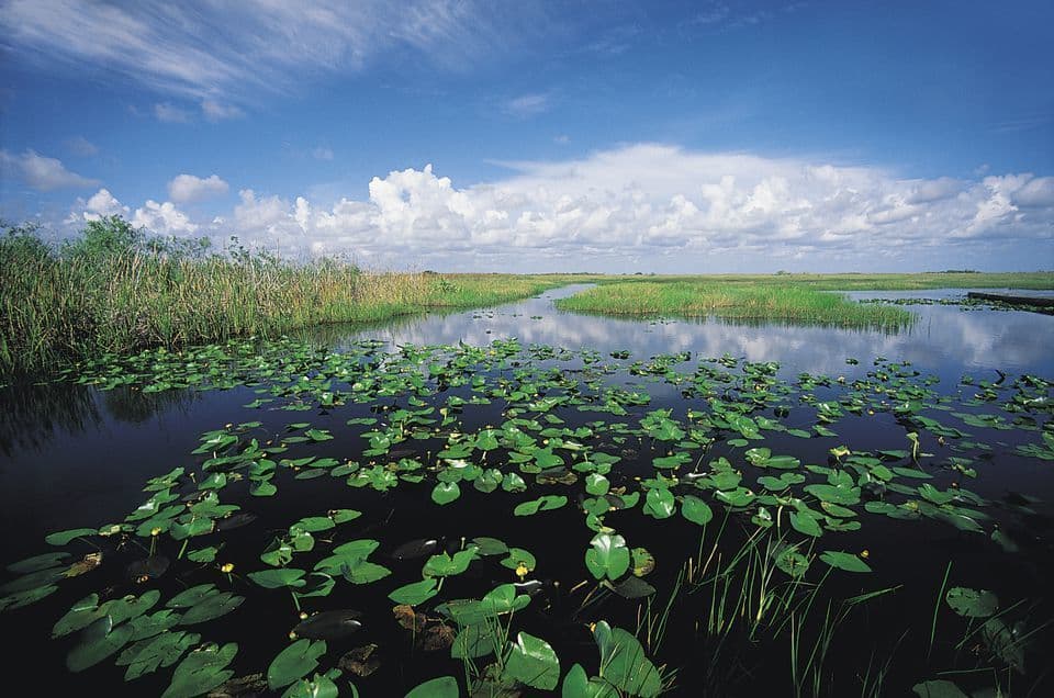 Lugar Everglades National Park