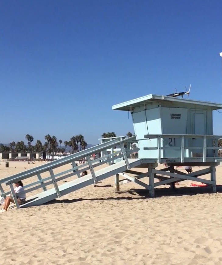 Place Venice Beach