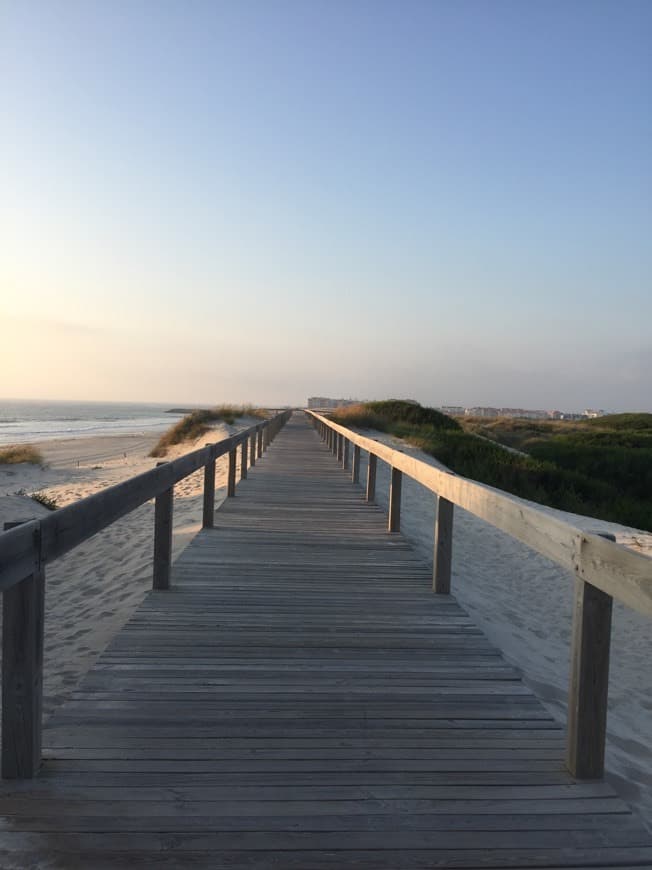 Lugar Praia da Duna Alta