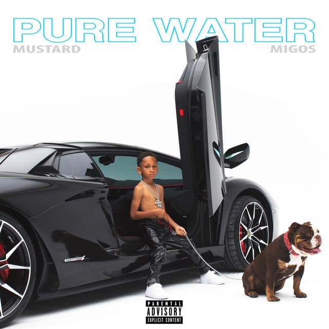 Canción Pure Water (with Migos)