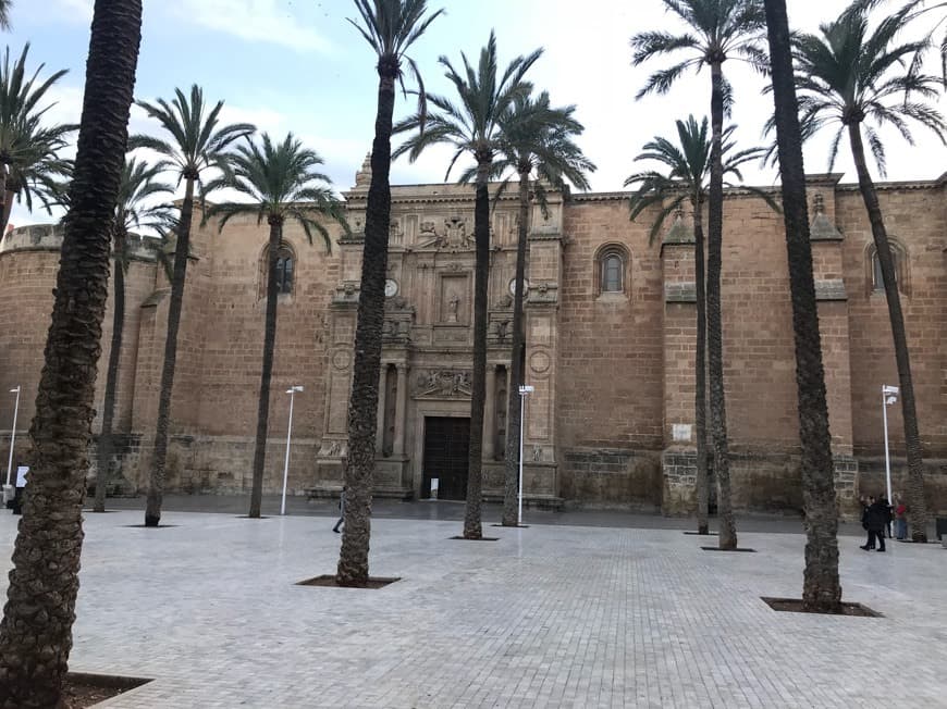 Lugar Catedral de Almería