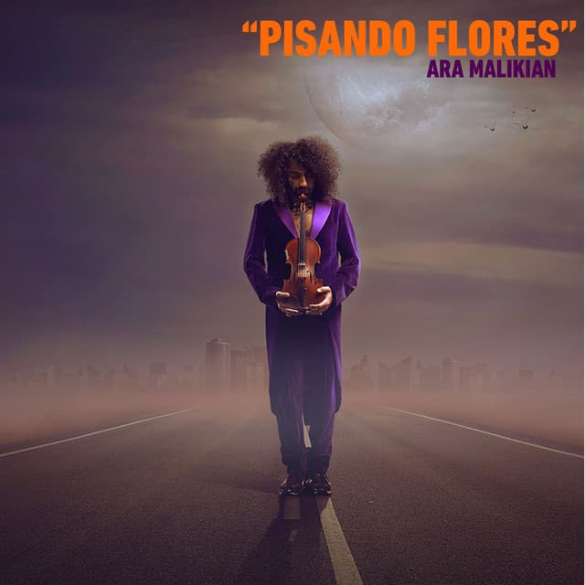 Music Ara Malikian: Pisando Flores