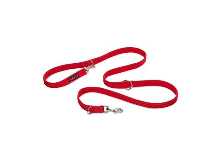 Producto Halti Training Lead