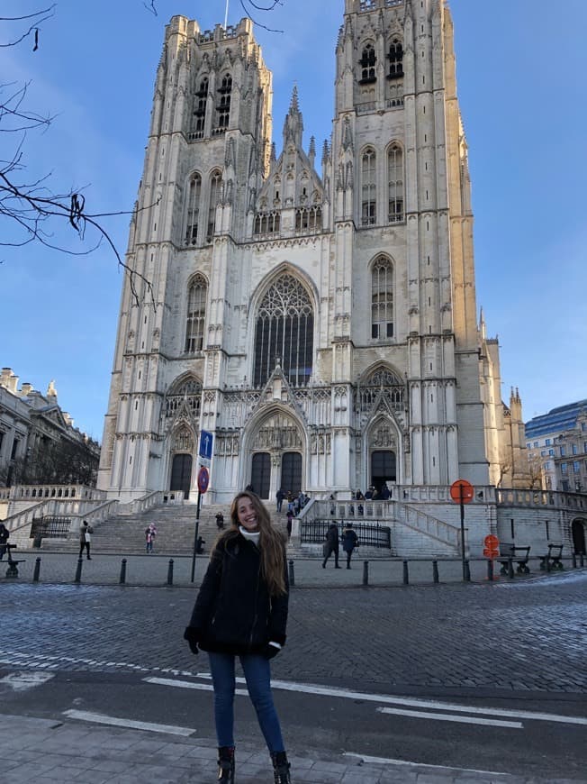 Lugar Catedral de San Miguel y Santa Gúdula de Bruselas