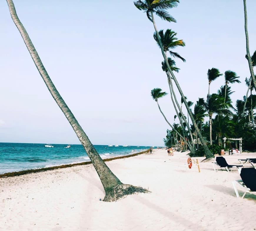 Lugar Grand Palladium Bavaro Suites Resort & Spa