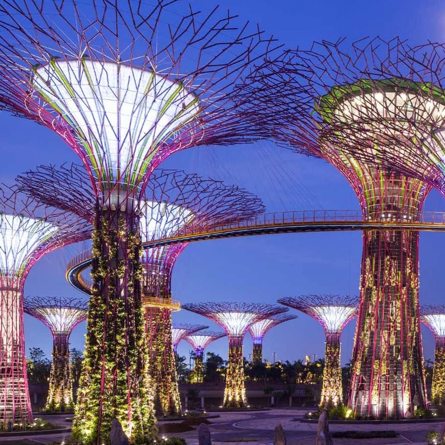 Place Gardens by the Bay