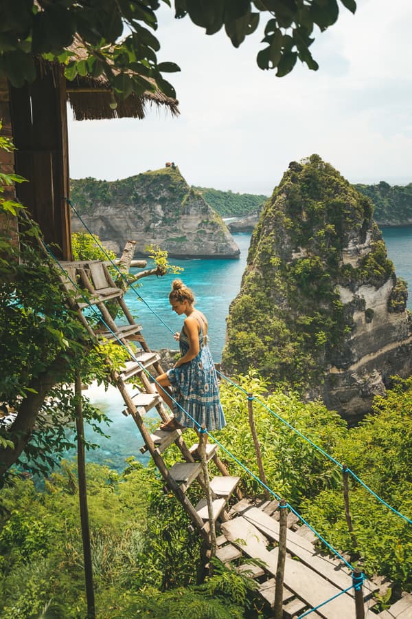 Lugar Rumah Pohon "Tree House"