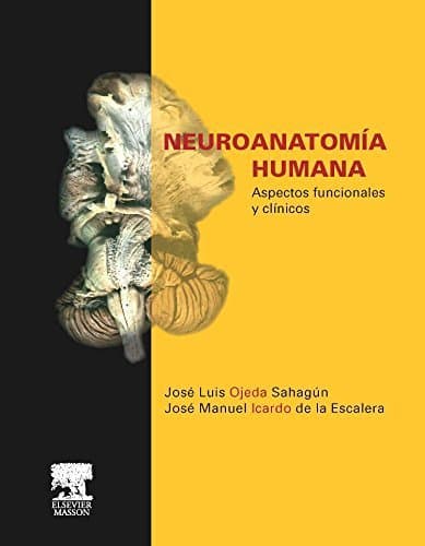 Libro Neuroanatomía Humana de J.L. Ojeda