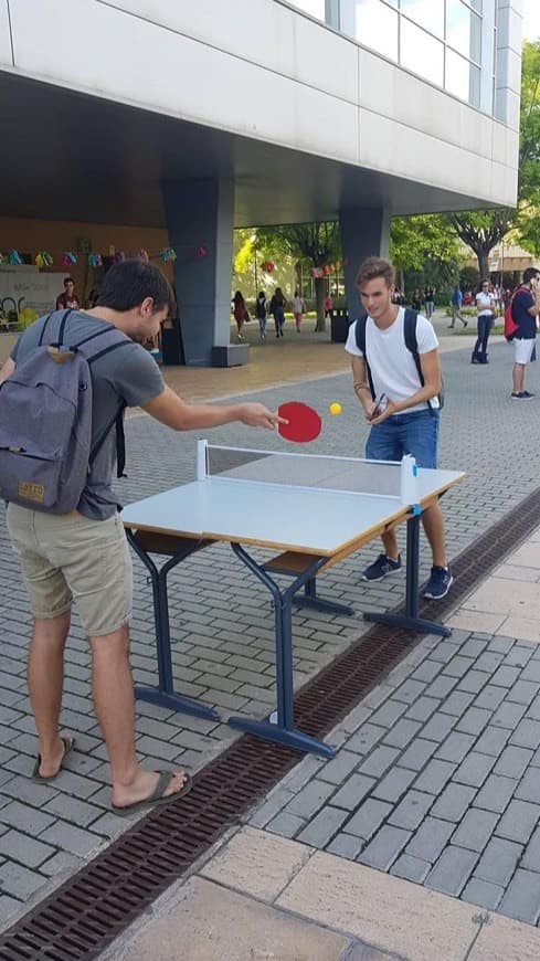 Moda Ping Pong