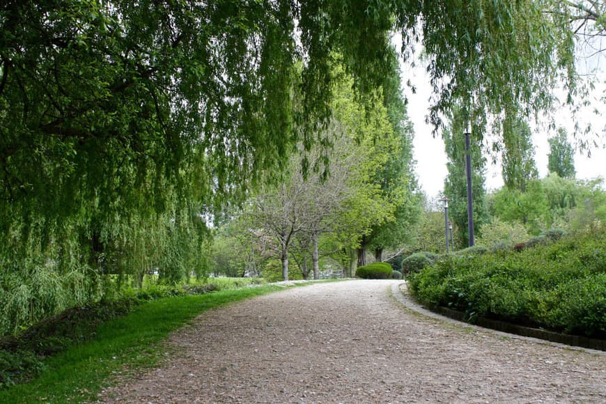 Place Parque de Galeras