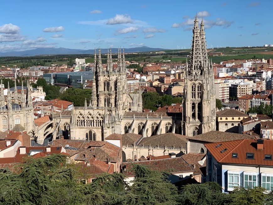 Place El Mirador de Burgos