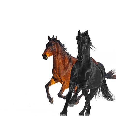 Canción Old Town Road - Remix