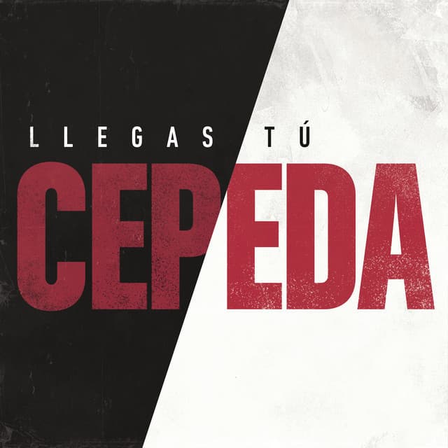 Canción Llegas Tú