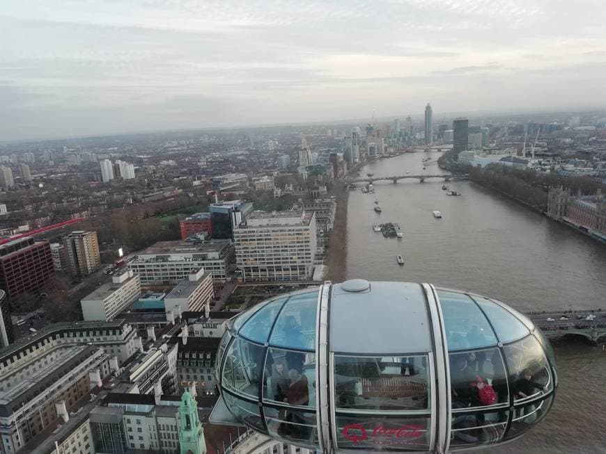 Place London Eye