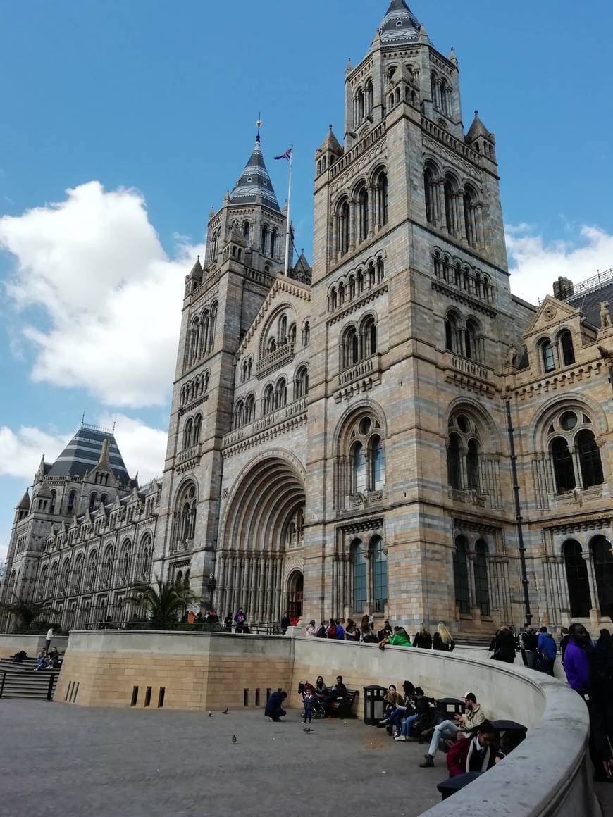 Place Natural History Museum