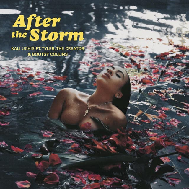 Canción After The Storm (feat. Tyler, The Creator & Bootsy Collins)