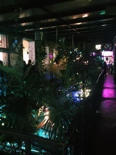 Lugar Szimpla Kert