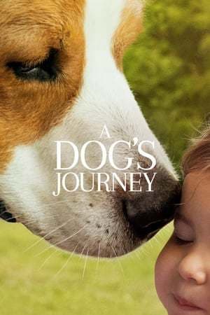 Película A Dog's Journey