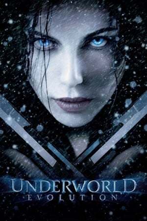 Película Underworld: Evolution