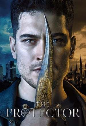 Serie The Protector