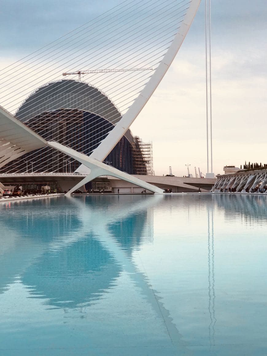 Place Ciudad de las Artes y las Ciencias