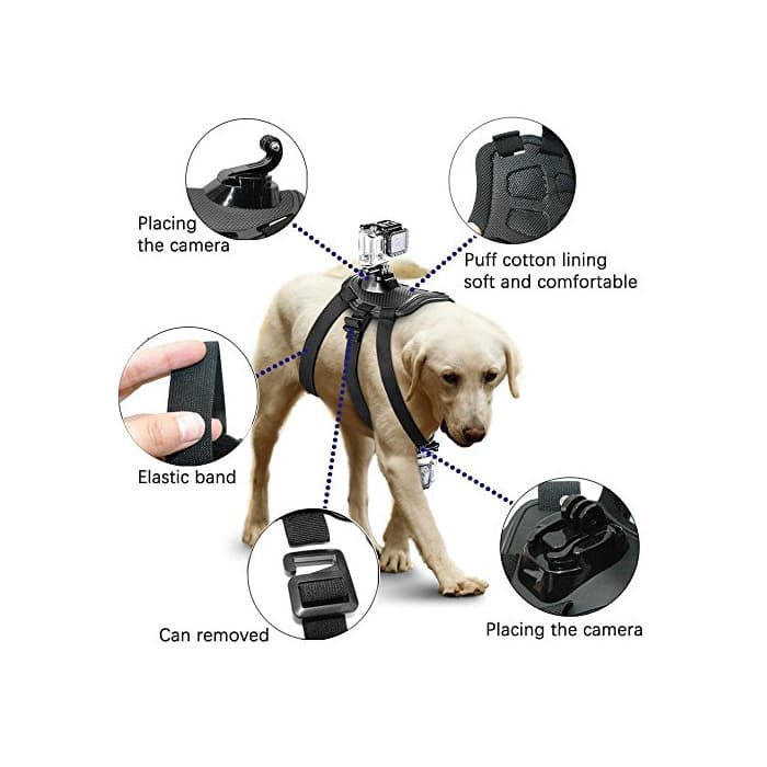 Electrónica micros2u Gopro Accesorios – Pet Arnés del perro pecho Fetch correa de cinturón para