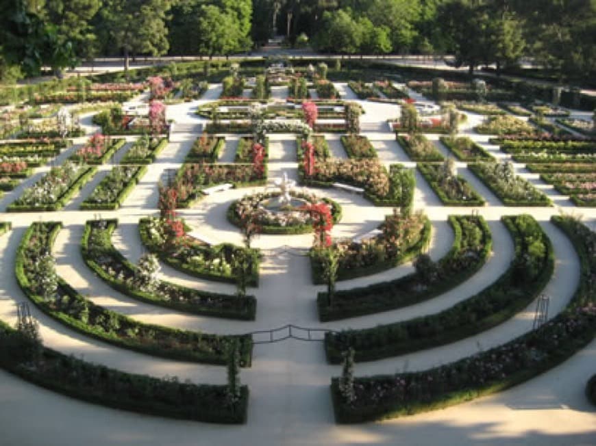 Lugar Parque de El Retiro