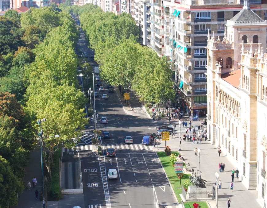 Place Paseo de Zorrilla