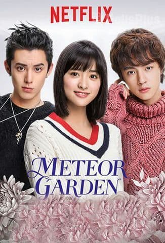 Serie Meteor Garden