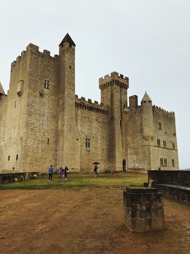 Lugar Castillo de Beynac