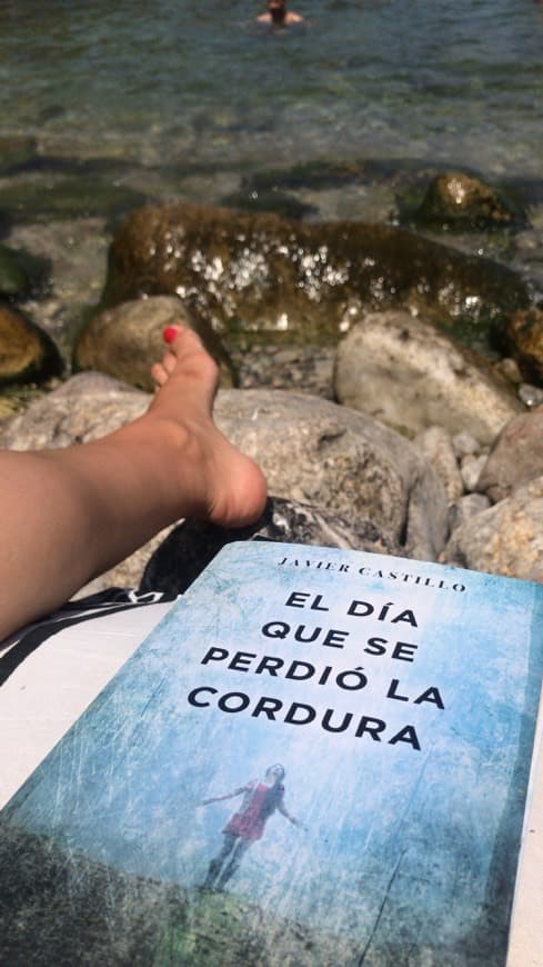 Libro El día que se perdió la cordura