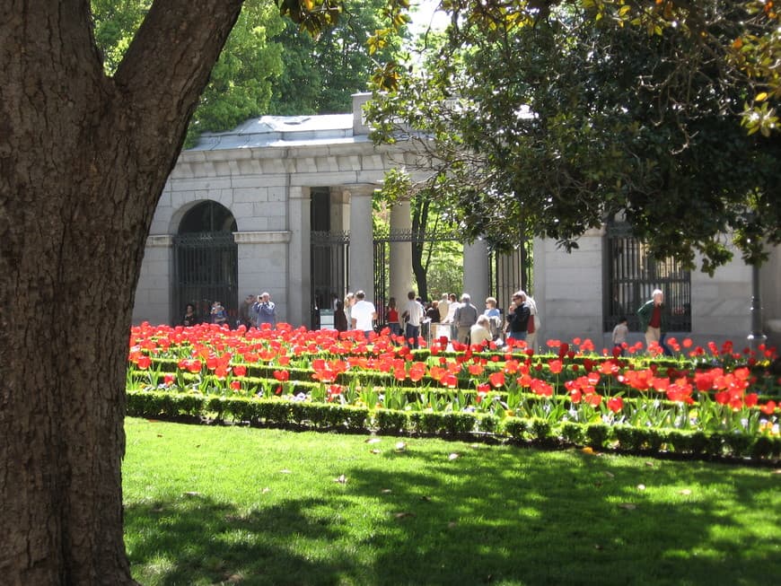 Place Real Jardín Botánico