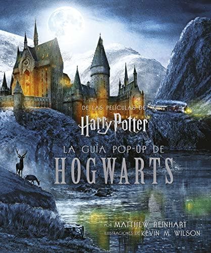 Libro Harry Potter