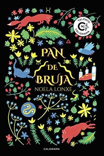 Book Pan de Bruja