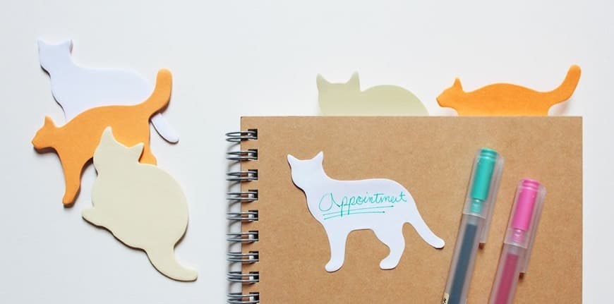 Product Stickies Memo: Cats