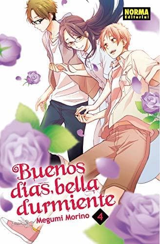 Book Buenos Días Bella Durmiente 4