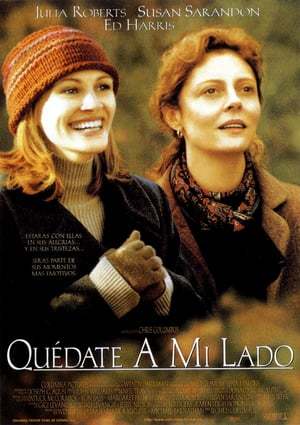 Película Stepmom