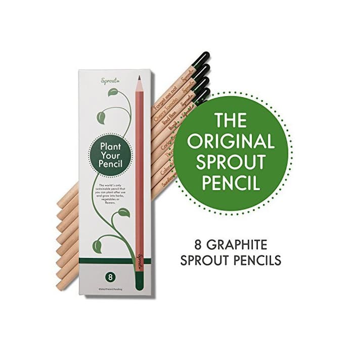 Producto Sprout