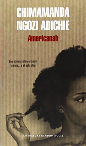 Book Americanah