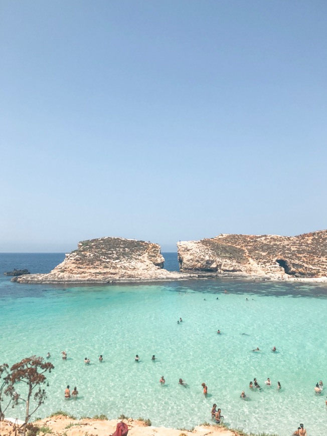 Place Comino