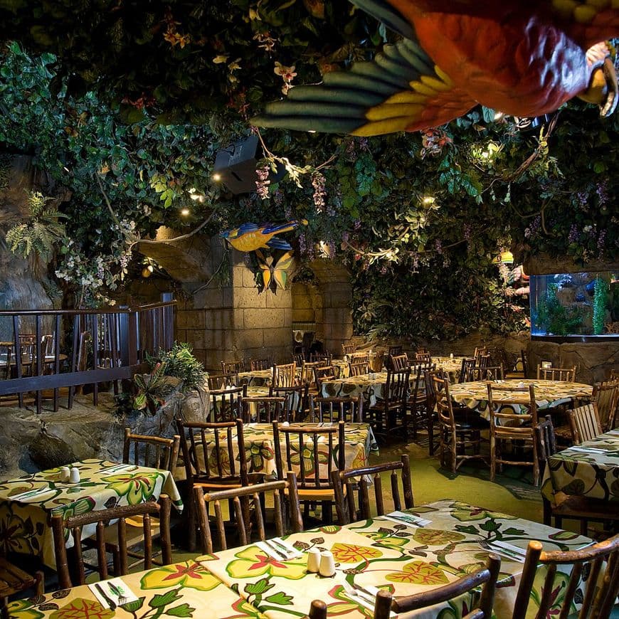 Restaurants Rainforest Cafe