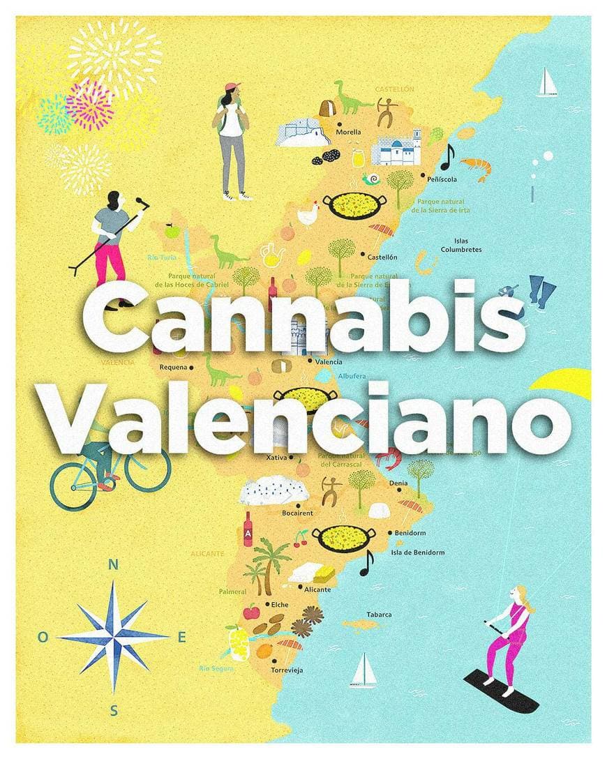 Fashion La UPV desarrolla variedad de Cannabis