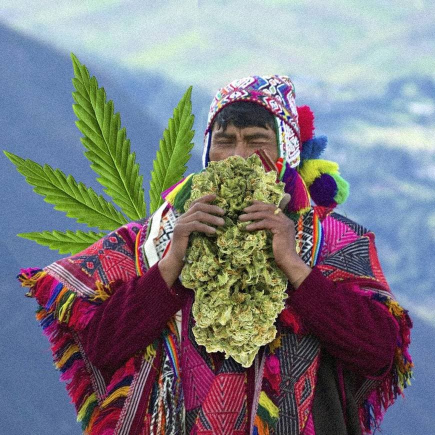 Fashion Cannabis Medicinal en Perú