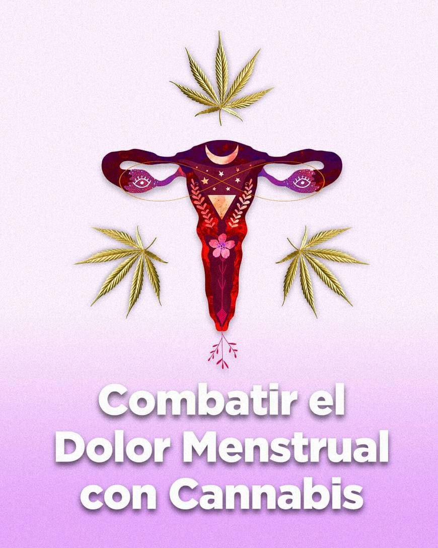 Fashion Combatir el Dolor Menstrual con Cannabis